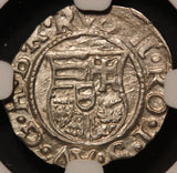 1580-KB Hungary 1 One Denar Silver Coin - NGC MS 62 - MB# 260