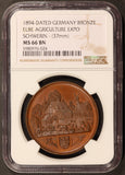 1894 Germany Elbe Agricultural Expo 37mm Bronze Medal - NGC MS 66 BN